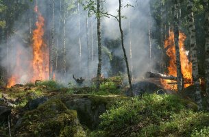  Ο καπνός από τις μεγάλες δασικές πυρκαγιές καταστρέφει προσωρινά το στρώμα του όζοντος στη στρατόσφαιρα