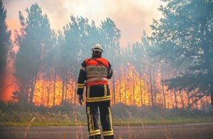 Πίτερ Διαμαντής: Ο ομογενής που συγκέντρωσε 11 εκατ. δολ. για να «νικήσει» τις δασικές πυρκαγιές
