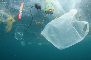 Clean Blue Paros: Πρόγραμμα για τη μείωση της πλαστικής ρύπανσης στο νησί