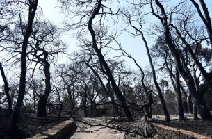 ΤΙΤΑΝ - Ίδρυμα Παύλου και Αλεξάνδρας Κανελλοπούλου: €1 εκατ. σε δράσεις αποκατάστασης περιβάλλοντος 
