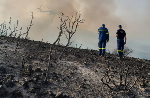 ΔΕΗ: Χρηματοδότηση ύψους 3 εκατ. για έργα αποκατάστασης και αναδάσωσης στην Εύβοια