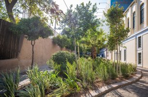 Μια ακόμα γειτονιά στην Αθήνα πρασινίζει με το νέο Πάρκο Τσέπης στα Πετράλωνα