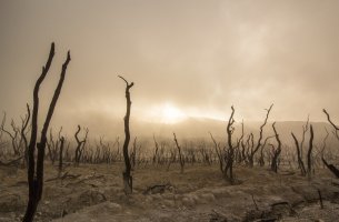 Περιβαλλοντικά εγκλήματα και ξέπλυμα μαύρου χρήματος