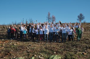 Παπαστράτος: Φυτεύει 70.000 δέντρα στην Αττική