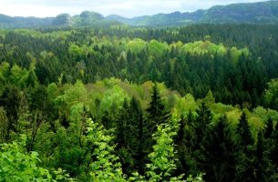 Προστασία Δασών: Αίτημα χρηματοδότησης 50 εκατ. ευρώ στο Ταμείο Ανάκαμψης