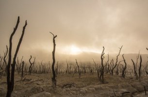 100 μέρες από τη Διάσκεψη της Γλασκώβης για το Κλίμα