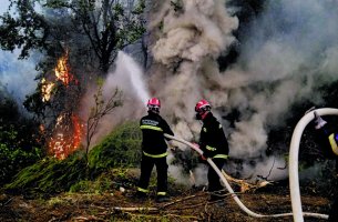 Πυρκαγιές: Το 14% της έκτασης της Ελλάδας κάηκε τα τελευταία 40 χρόνια