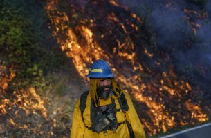 Έρευνα: Η κλιματική κρίση μπορεί να τροφοδοτήσει μελλοντικές πανδημίες