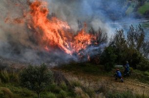 Έκθεση του WWF για τα οικονομικά της πρόληψης και της καταστολής των δασικών πυρκαγιών