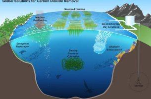 CDR: Η λύση στην υπερθέρμανση του πλανήτη ή «greenwashing»;