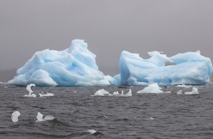 Χιονίζει μικροπλαστικά στην Ανταρκτική