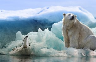 Τεράστια συστήματα υπόγειων υδάτων «κρύβουν» οι πάγοι της Ανταρκτικής - Τι σημαίνουν