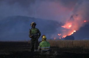 Ε.Ε.: Οι φετινές πυρκαγιές έχουν ήδη καταστρέψει περισσότερη έκταση σε σχέση με το σύνολο του 2021