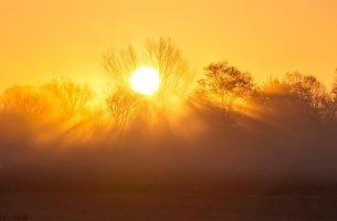 Η κλιματική αλλαγή θα αυξήσει τα επόμενα χρόνια τις δασικές πυρκαγιές παγκοσμίως