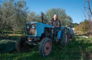 Θύματα της κλιματικής αλλαγής το ιταλικό λάδι και το κρασί