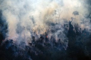 Αποψίλωση ρεκόρ του δάσους του Αμαζονίου- Καταστράφηκαν 5.474 στρέμματα μέσα σε επτά μήνες 
