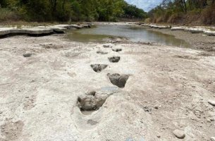 Η ξηρασία αποκάλυψε ίχνη δεινοσαύρων σε κοίτη ποταμού στο Τέξας