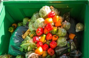 Ευρωπαϊκά νοικοκυριά: Στα σκουπίδια 70 κιλά τροφίμων ανά άτομο