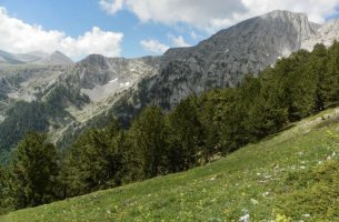 Παράταση στη διαβούλευση για τρεις περιοχές Natura 2000