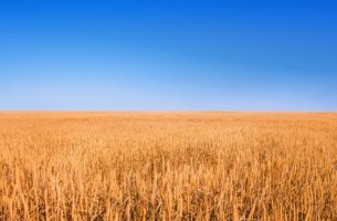 «Παρωχημένη» η κατάργηση των βιοκαυσίμων λένε οι αγροτικοί παραγωγοί