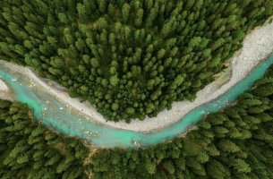 L’Oréal Fund For Nature Regeneration: Επενδύει σε 3 νέες «πράσινες» Startups