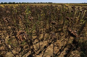 Ισπανία: Η Καταλονία αντιμέτωπη με μία από τις χειρότερες ξηρασίες εδώ και δεκαετίες