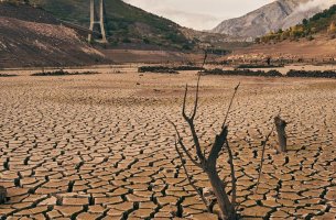 Οι αγρότες της νότιας Ευρώπης αναμένουν την χειρότερη σοδειά τους εδώ και δεκαετίες λόγω της επερχόμενης έντονης ξηρασίας