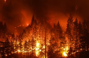 Ένα τρίτο των δασικών πυρκαγιών στη Βόρεια Αμερική προκαλείται από τα ορυκτά καύσιμα, σύμφωνα με μελέτη