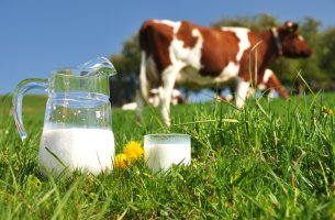 Nestlé και Unilever συνεργάζονται με το Wageningen για μείωση αποτυπώματος στα γαλακτοκομικά