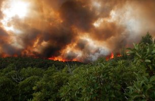 Οι χώρες της Ε.Ε. μείωσαν τον αριθμό των πυροσβεστών παρά την κλιματική κρίση