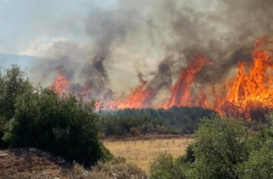 Αναστέλλονται από το ΥΠΕΝ οι οικονομικές δραστηριότητες στην πληγείσα από την πυρκαγιά δασική περιοχή του Έβρου