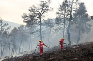 Προειδοποίηση για το κόστος των δασικών πυρκαγιών
