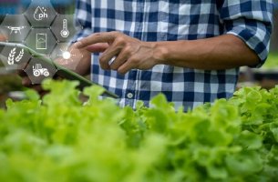 STELAR KLMS: Η τεχνητή νοημοσύνη στον αγροτοδιατροφικό τομέα