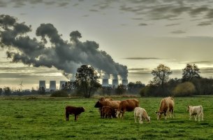 Περιβάλλον: Η ατμοσφαιρική ρύπανση σκότωσε πάνω από 500.000 ανθρώπους το 2021 στην Ε.Ε.