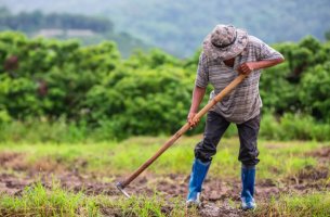Κομισιόν: Σημαντική πρόκληση για τη γεωργία η κλιματική αλλαγή  