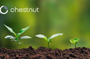 Η Microsoft υπέγραψε συμφωνία δέσμευσης του άνθρακα με την Chestnut