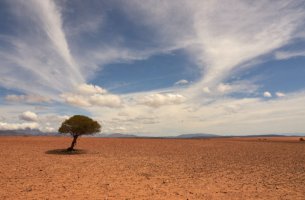 Πώς η κλιματική κρίση τροφοδοτεί την έμφυλη ανισότητα