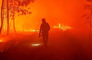 2023: Μια χρονιά καταστροφικών δασικών πυρκαγιών στον κόσμο	