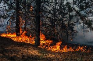 ΤτΕ: Στα 2,2 δισ. ευρώ ετησίως το κόστος της κλιματικής αλλαγής για τη χώρα