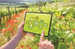 Η agtech CroBio εξασφαλίζει  1,45 εκατ. ευρώ για την ενίσχυση της ανθεκτικότητας στη γεωργική ξηρασία με μικρόβια του εδάφους