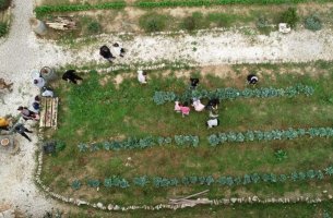 Οργάνωση Γη: Μια Κοινότητα που Δυναμώνει Μέσα από τη Σχέση της με τη Φύση