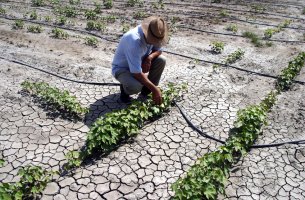 Mείωση 40% στην πρωτογενή παραγωγή λόγω κλιματικής αλλαγής