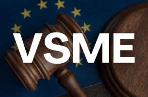 VSME: Η Νέα Εποχή της Εθελοντικής Αναφοράς ESG για Μικρομεσαίες Επιχειρήσεις
