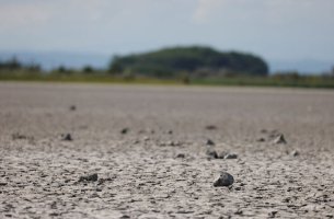 Copernicus: Η Ευρώπη αντιμετωπίζει τη χειρότερη ξηρασία από το 2012