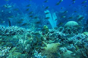 Βρετανική εταιρεία κοινής ωφέλειας εκδίδει με επιτυχία μπλε ομόλογο ύψους 250 εκατ. λιρών