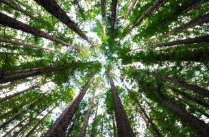 Βιογήρανση και ESG