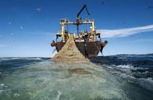 WWF: Στο παραπέντε διατηρείται η απαγόρευση κάθε αλιευτικής δραστηριότητας στη θαλάσσια περιοχή της Γυάρου	