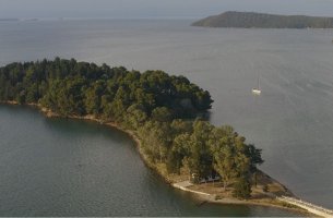 Nestlé Ελλάς & Εναλεία πραγματοποιούν ένα πρωτοπόρο πρόγραμμα θαλάσσιας αναδάσωσης των λιβαδιών Zostera
