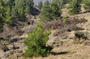 Μονάδα Στρατηγικών Συμβάσεων Υπερταμείου: Η αλήθεια για τα έργα Antinero στη Χίο