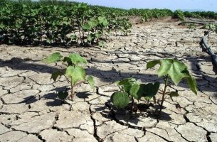  Συνθήκες εξαιρετικής ξηρασίας εξακολούθησαν να επικρατούν στην Ευρώπη και την περιοχή της Μεσογείου στις αρχές Αυγούστου